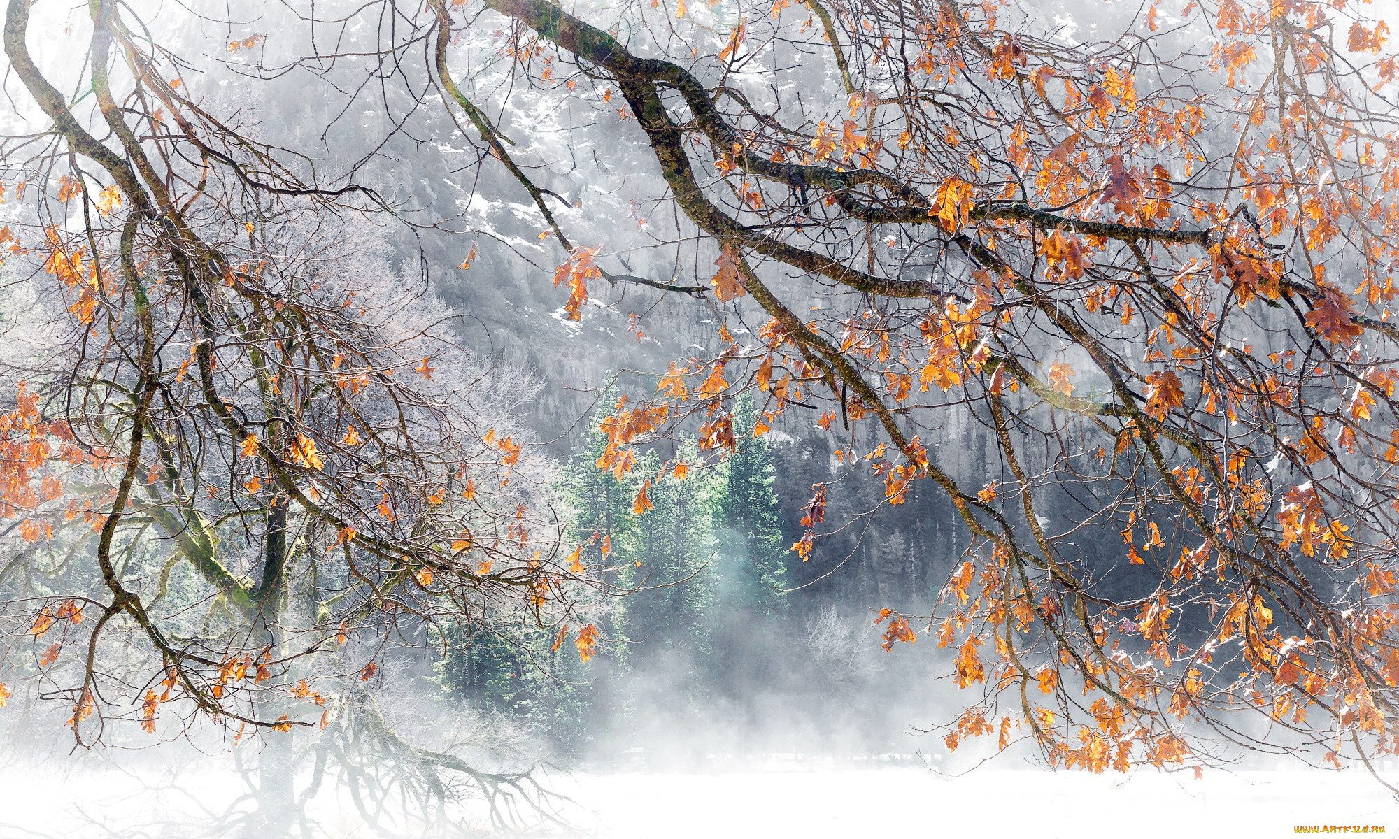 �������, �������, �����